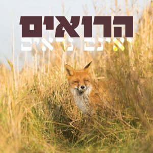 הרואים ואינם נראים