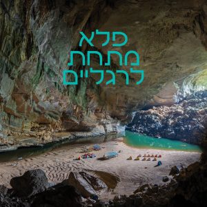 פלא מתחת לרגליים