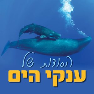 הסודות של ענקי הים