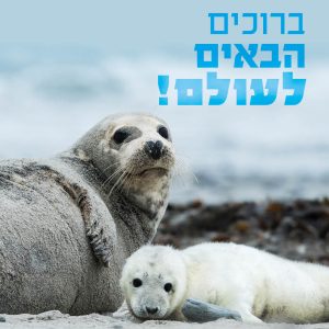 ברוכים הבאים לעולם