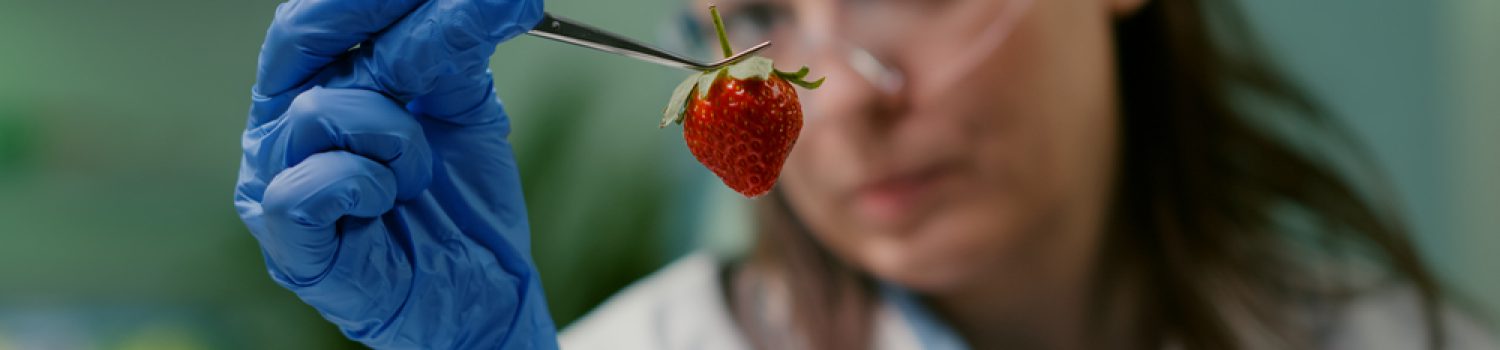 Close,Up,Of,Scientist,Woman,Looking,At,Organic,Strawberry,Using