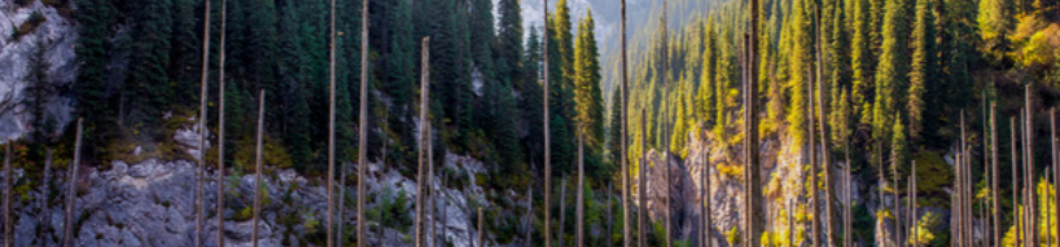 צילום מסך 2026-02-02 182802